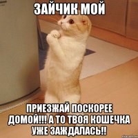 Зайчик мой Приезжай поскорее домой!!! А то твоя кошечка уже заждалась!!