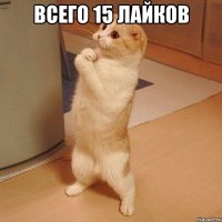 всего 15 лайков 