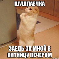 шушлаечка заедь за мной в пятницу вечером