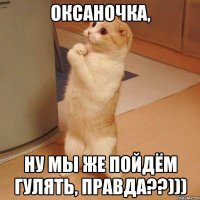 Оксаночка, ну мы же пойдём гулять, правда??)))