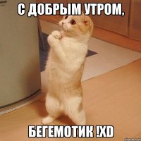 С Добрым утром, Бегемотик !XD