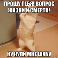 Прошу тебя! Вопрос жизни и смерти! Ну купи мне шубу