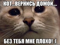 Кот...вернись домой.... Без тебя мне плохо! :(