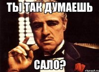 ты так думаешь сало?