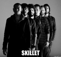  skillet