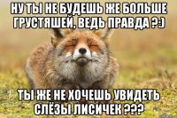 Ну ты не будешь же больше грустяшей, ведь правда ?:) Ты же не хочешь увидеть слёзы лисичек ???