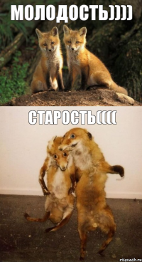 Молодость)))) Старость((((