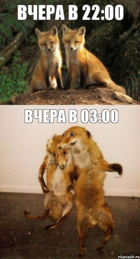 Вчера в 22:00 Вчера в 03:00