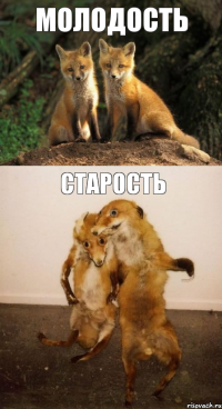 молодость старость