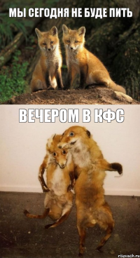 Мы сегодня не буде пить Вечером в КФС