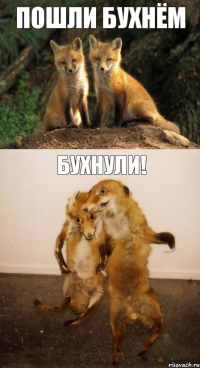 ПОШЛИ БУХНЁМ БУХНУЛИ!