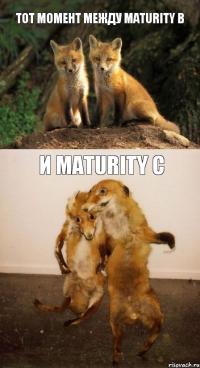 Тот момент между Maturity B И Maturity c