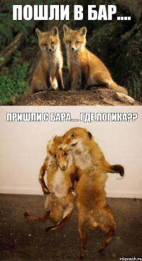 Пошли в бар.... Пришли с бара.... Где логика??