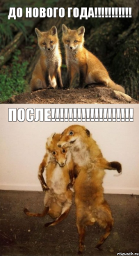 ДО НОВОГО ГОДА!!!!!!!!!!! ПОСЛЕ!!!!!!!!!!!!!!!!!!!