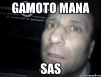 GAMOTO MANA SAS