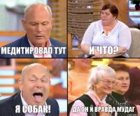 и что? медитировал тут я собак! да он и вравда мудаг