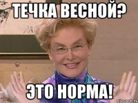 ТЕЧКА ВЕСНОЙ? ЭТО НОРМА!