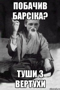 Побачив барсіка? Туши з вертухи