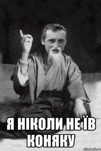  Я НІКОЛИ НЕ ЇВ КОНЯКУ