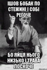 ішов бобак по стежині і собі регоче бо яйця нього низько і трава лоскоче