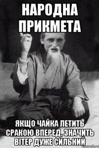 Народна прикмета якщо чайка летить сракою вперед, значить вітер дуже сильний