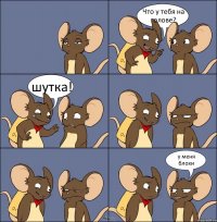 Что у тебя на голове? шутка! у меня блохи