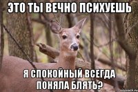 это ты вечно психуешь я спокойный всегда ПОНЯЛА БЛЯТЬ?