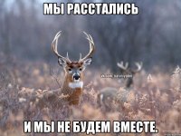 Мы расстались И мы не будем вместе.