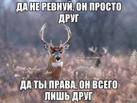 Да не ревнуй, он просто друг Да ты права, он всего лишь друг