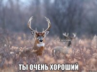  ТЫ ОЧЕНЬ ХОРОШИЙ