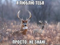 я люблю тебя просто...не знаю...