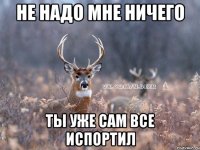 Не надо мне ничего Ты уже сам все испортил