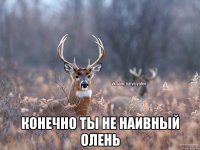  Конечно ты не наивный олень