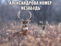 Александрова номер незабудь 