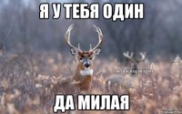 Я у тебя один Да милая