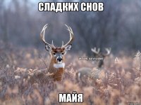 Сладких снов Майя