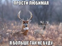 Прости любимая Я больше так не буду