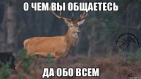 О чем вы общаетесь Да обо всем