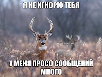 Я не игнорю тебя У меня просо сообщений много