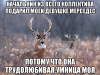 Начальник из всего коллектива подарил моей девушке мерседес ПОТОМУ ЧТО ОНА ТРУДОЛЮБИВАЯ.УМНИЦА МОЯ