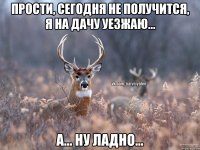 Прости, сегодня не получится, я на дачу уезжаю... А... Ну ладно...