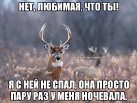 Нет, любимая, что ты! Я с ней не спал, она просто пару раз у меня ночевала.