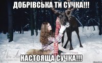 Добрівська ти сучка!!! НАСТОЯЩА СУЧКА!!!