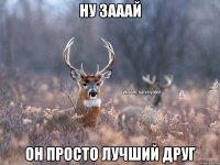 ну зааай он просто лучший друг