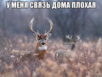 У меня связь дома плохая 