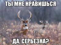 Ты мне нравишься ДА, СЕРЬЕЗНА?