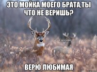 Это мойка моего брата,ты что не веришь? Верю любимая