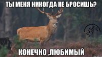 Ты меня никогда не бросишь? Конечно ,любимый