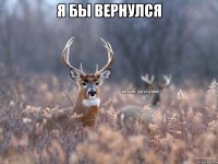 Я бы вернулся 