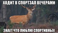 Ходит в спортзал вечерами Знает что люблю спортивных